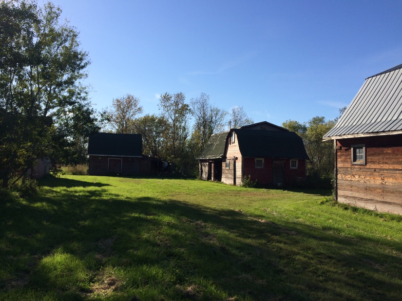 There are a total of four old barns/sheds. We are very excited to go sifting through the items the current homeowners choose to leave behind!